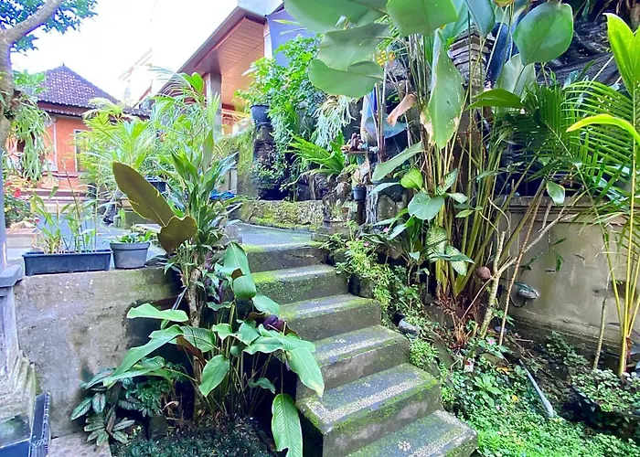 招待所 潘瑟旅馆 3*
