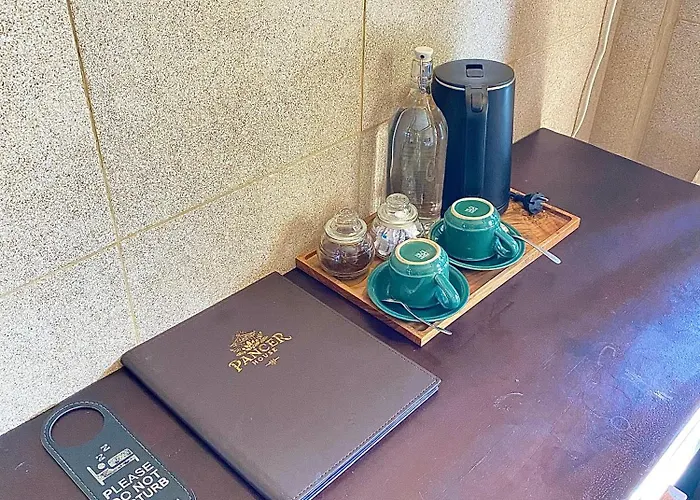 潘瑟旅馆 乌布